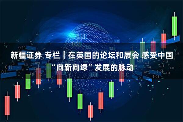 新疆证券 专栏｜在英国的论坛和展会&#32;感受中国“向新向绿”发展的脉动