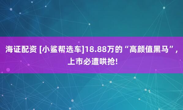 海证配资 [小鲨帮选车]18.88万的“高颜值黑马”, 上市必遭哄抢!