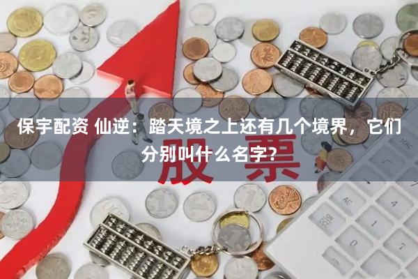 保宇配资 仙逆：踏天境之上还有几个境界，它们分别叫什么名字？